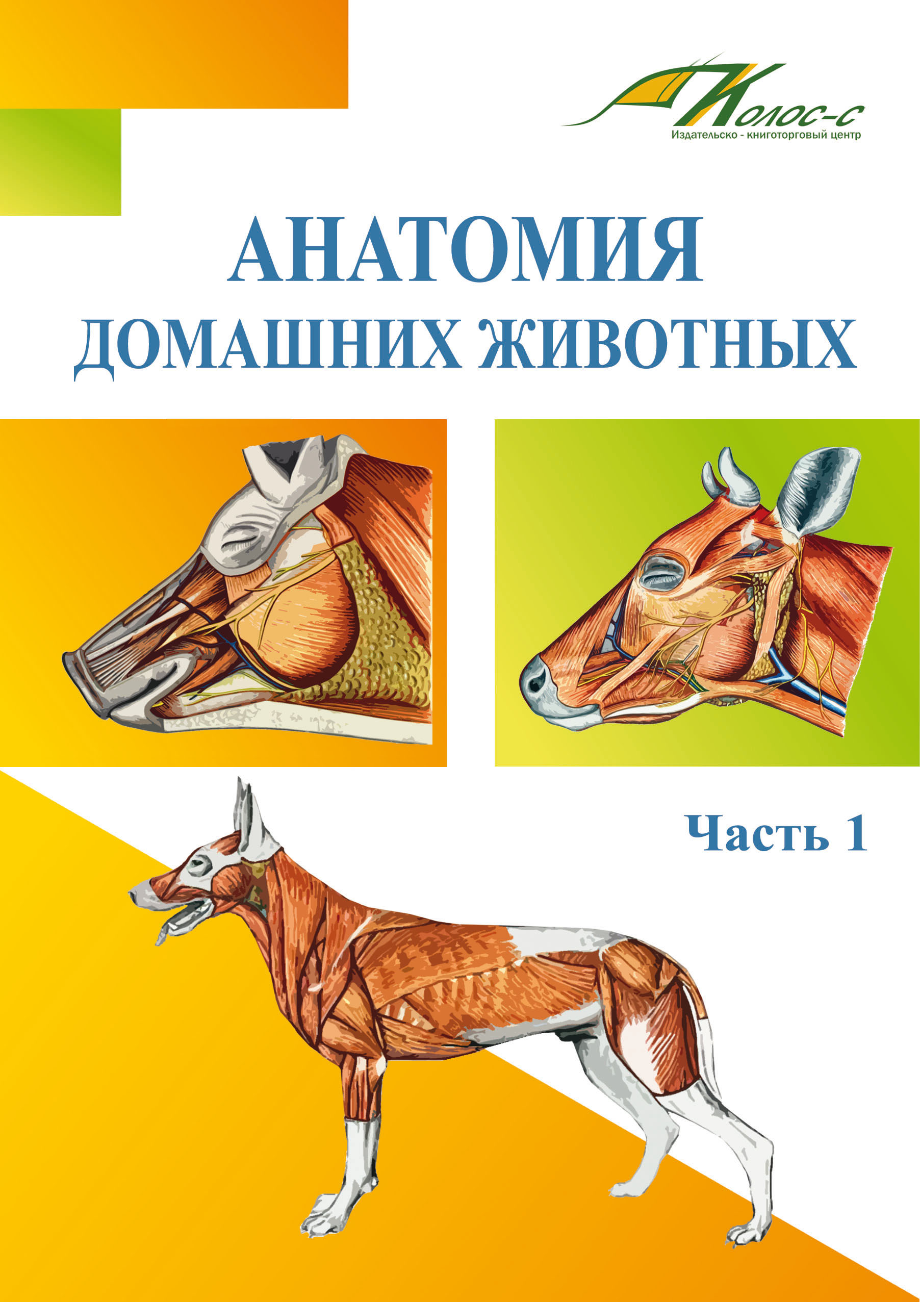 Анатомия домашних животных. Часть 1